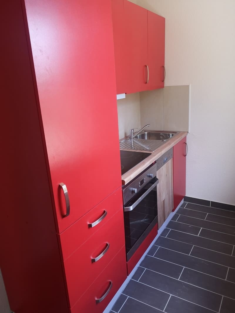 1.0-Zimmer-Wohnung - hell & ruhig in Erlen (2)