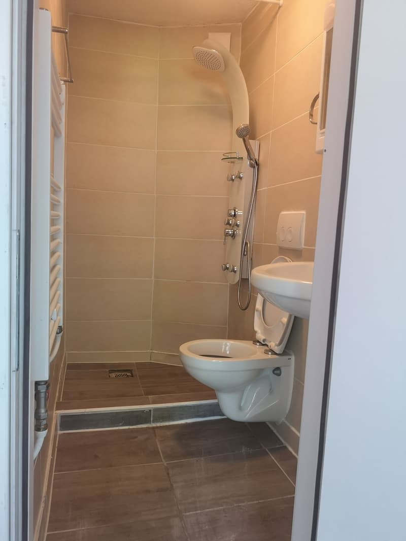 helle und gemütliche 1.0-Zimmer-Wohnung (4)