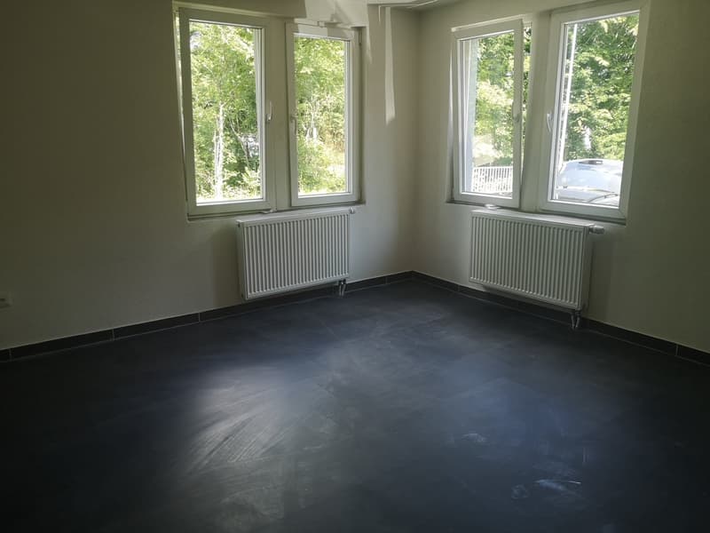helle und gemütliche 1.0-Zimmer-Wohnung (3)