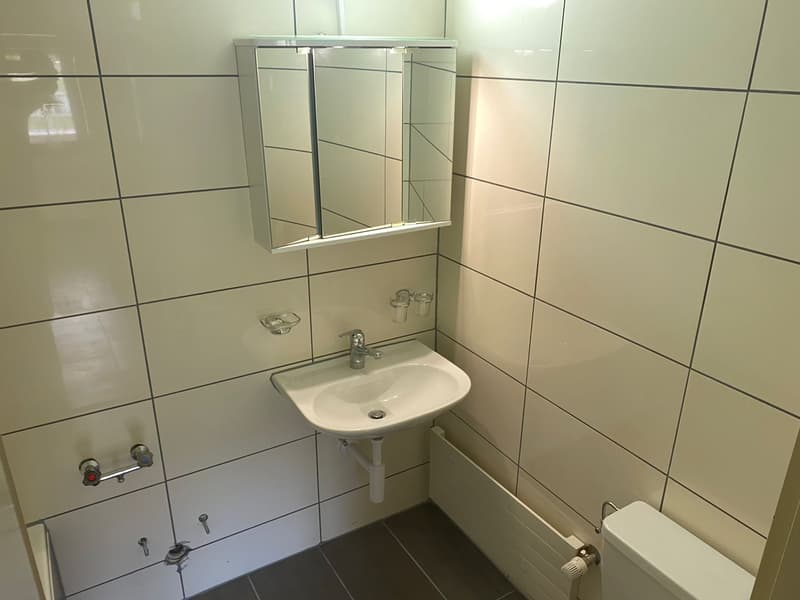 Helle und gemütliche 2.5-Zimmer-Wohnung mit einladender Terrasse (8)