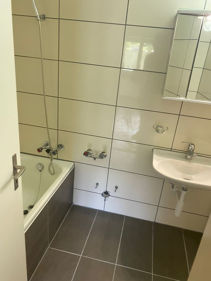 Helle und gemütliche 2.5-Zimmer-Wohnung mit einladender Terrasse (9)