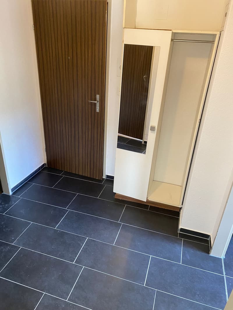 Helle und gemütliche 2.5-Zimmer-Wohnung mit einladender Terrasse (5)