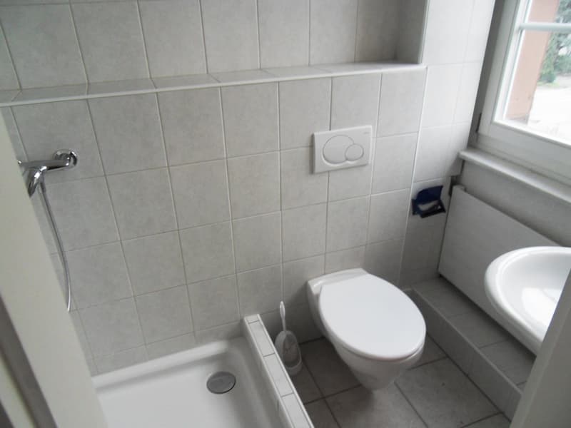 Gemütliches 1-Zimmer-Apartment im charmanten Altbau in Zihlschlacht (5)