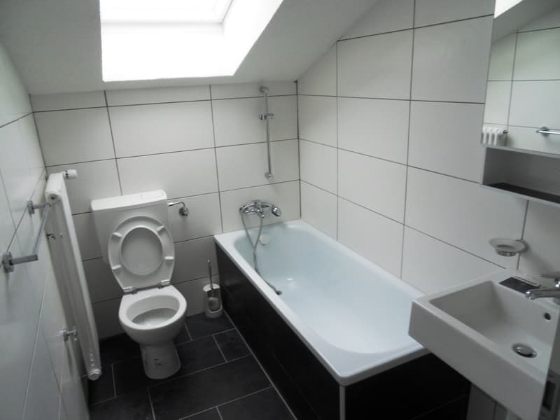 Charmante 3.5-Zimmer-Dachwohnung in Matzingen zu vermieten (5)