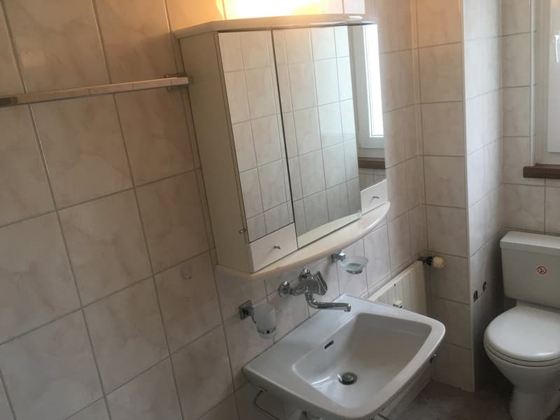 Gemütliche 1-Zimmer-Wohnung im 2. OG in Romanshorn (6)