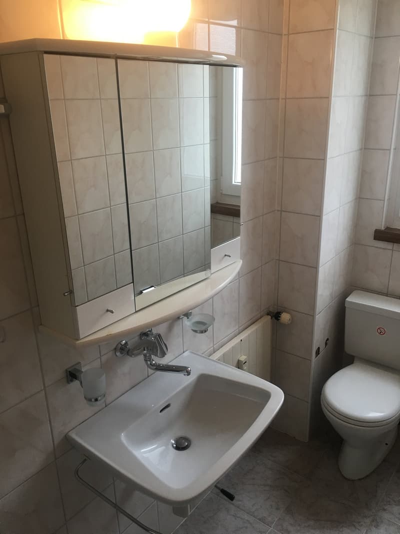 Gemütliche 1-Zimmer-Wohnung im 2. OG in Romanshorn (8)
