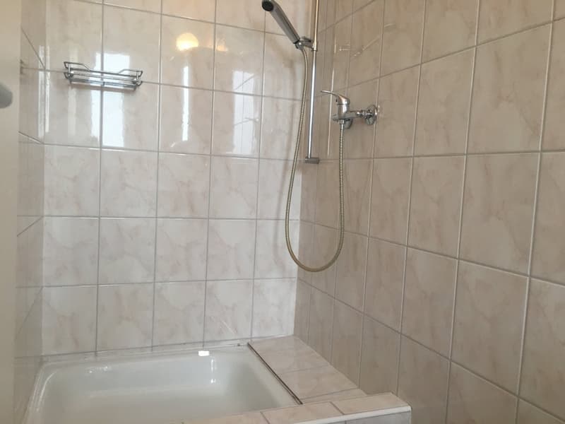 Gemütliche 1-Zimmer-Wohnung im 2. OG in Romanshorn (7)