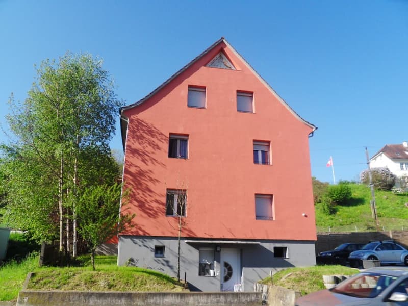 Gemütliche 2-Zimmer-Erdgeschosswohnung in Langwiesen (13)