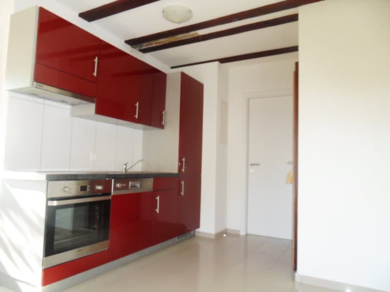 Gemütliche 2-Zimmer-Erdgeschosswohnung in Langwiesen (9)