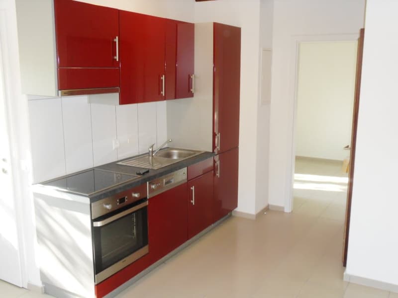 Gemütliche 2-Zimmer-Erdgeschosswohnung in Langwiesen (8)