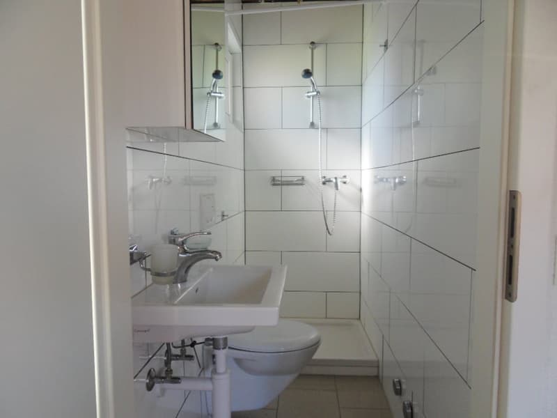 Gemütliche 2-Zimmer-Erdgeschosswohnung in Langwiesen (11)