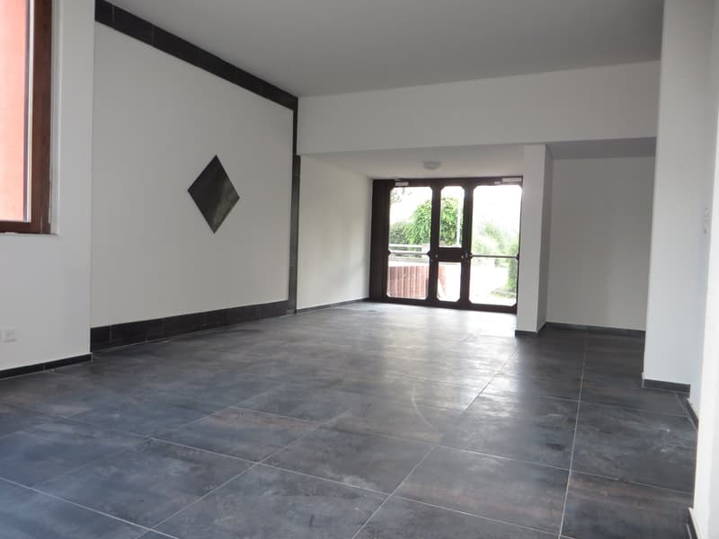 Helle 2.5-Zimmer-Wohnung im EG in Ebnat-Kappel (4)