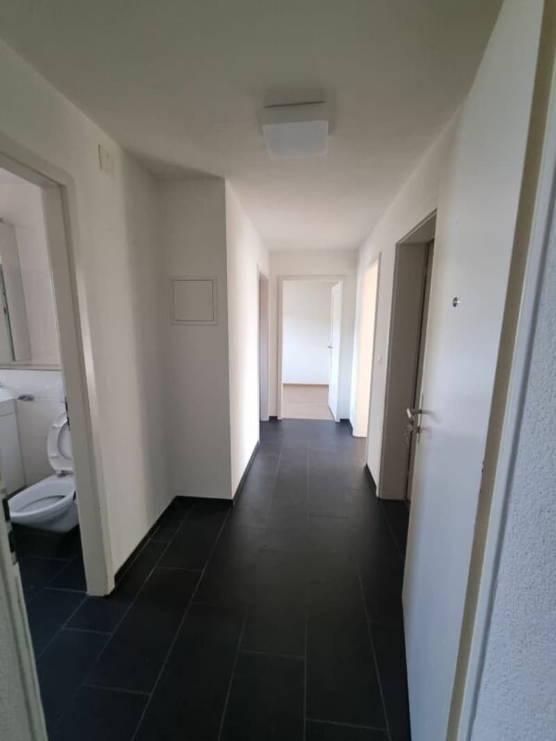 agréable appartement de 3.5 pièces (2)