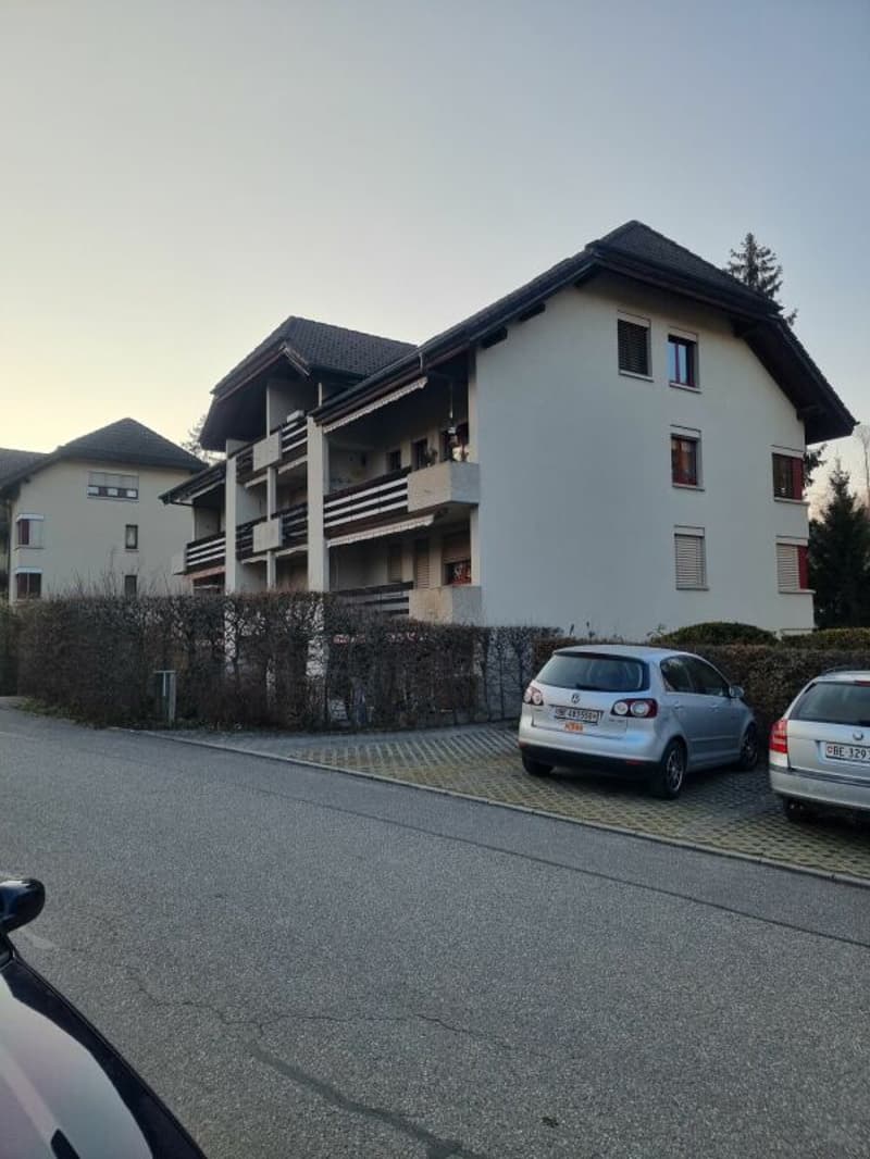 Attraktive und grosszügige 5.5-Zimmer-Maisonettewohnung (2)