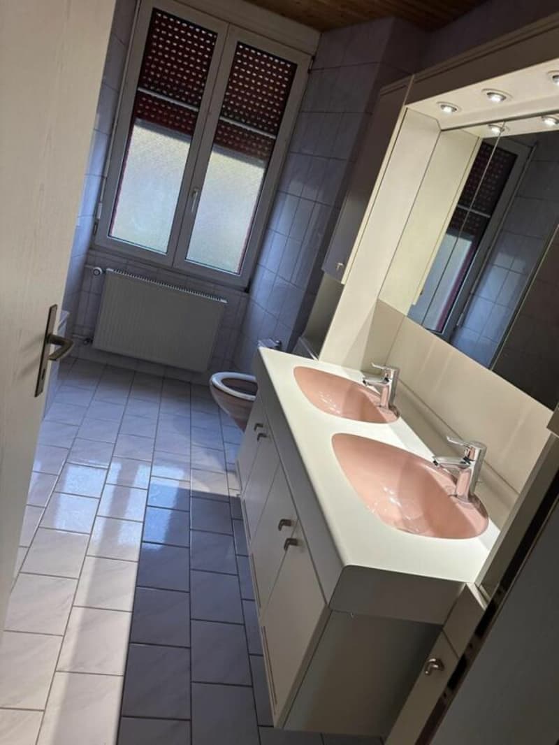 Votre nouvelle maison (10)