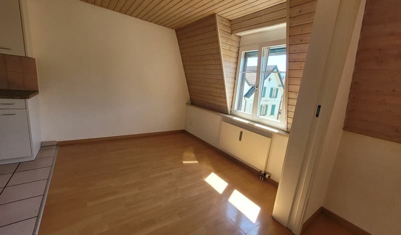 Helle und schöne 4.5-Zimmer-Dachwohnung (2)