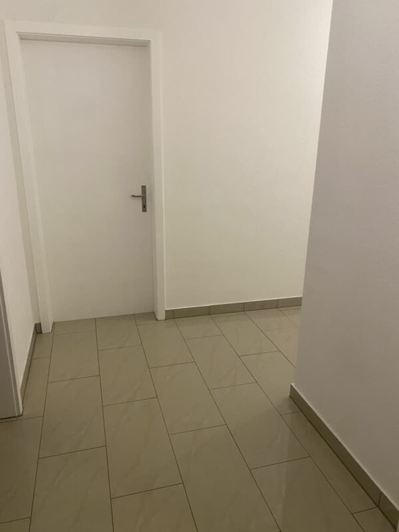 grosse 4 Zimmerwohnung (3)