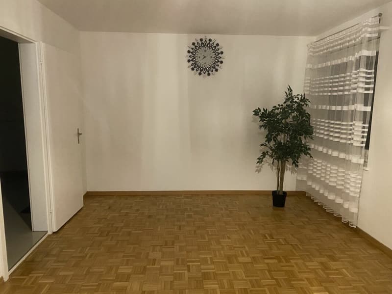 grosse 4 Zimmerwohnung (6)