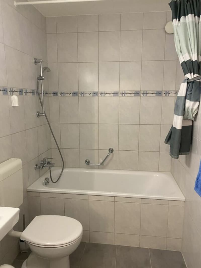 grosse 4 Zimmerwohnung (9)
