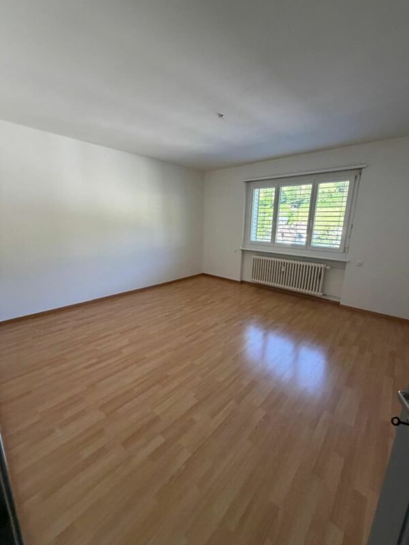 helle und schöne 3 Zimmerwohnung (2)