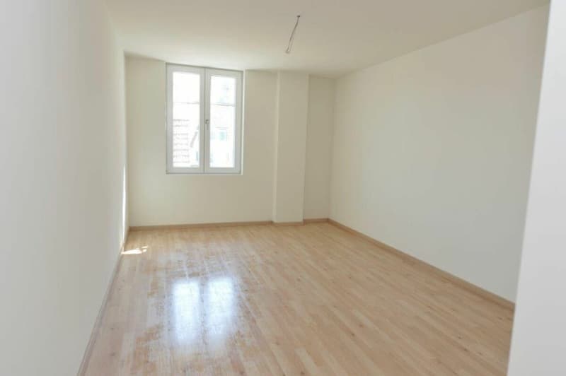 Grosse Wohnung zum vermieten! (4)