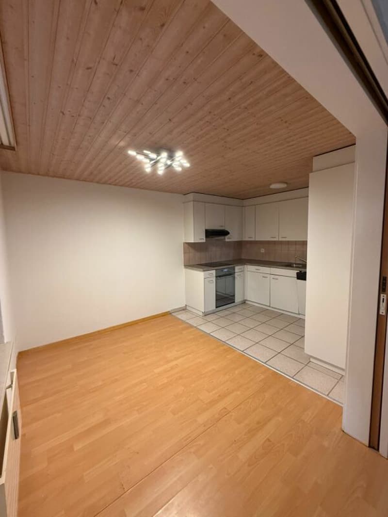 Grosse 4.5 Zimmerwohnung (2)