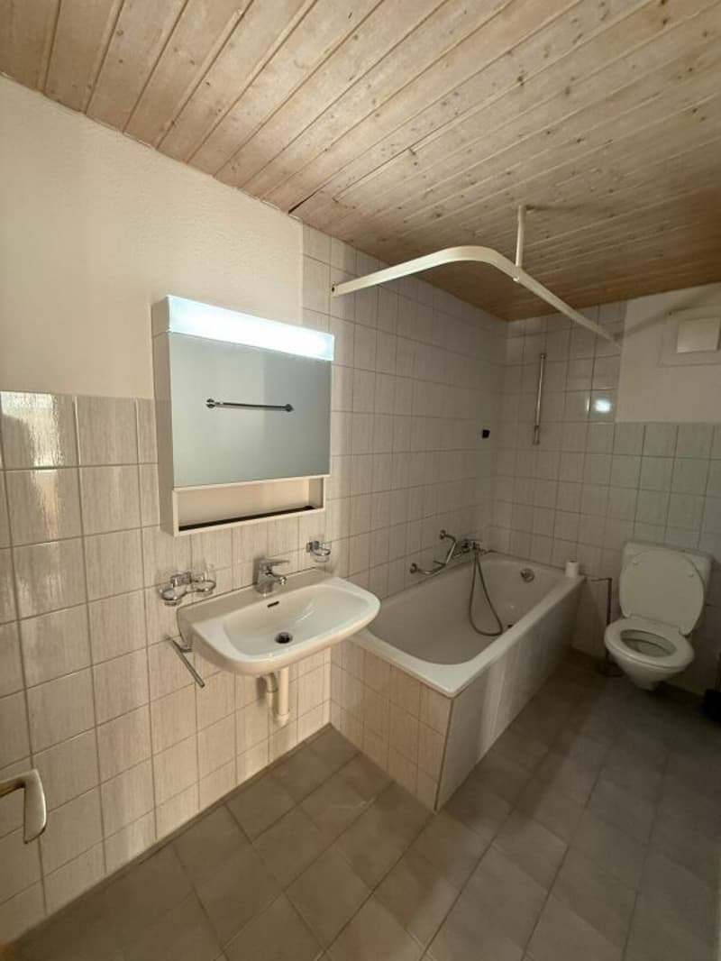 Grosse 4.5 Zimmerwohnung (9)