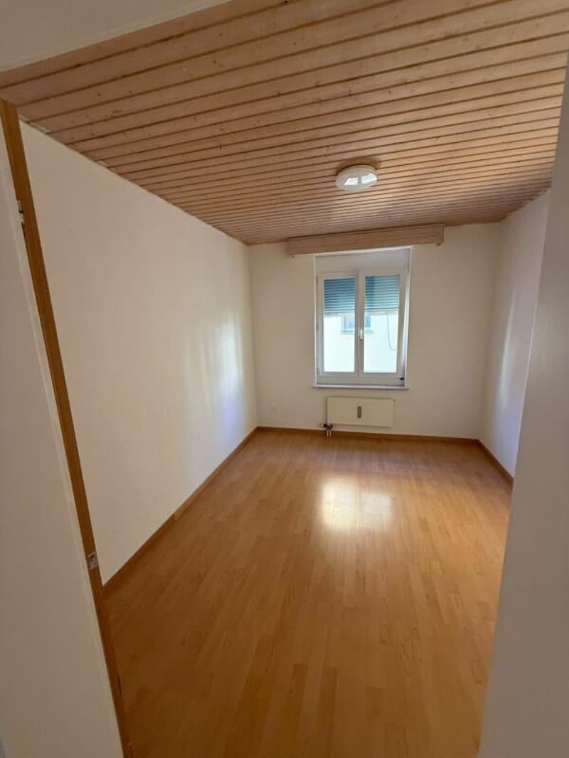 Grosse 4.5 Zimmerwohnung (5)