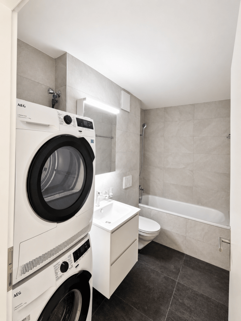 neu renovierte 1.5 Zimmerwohnung (2)