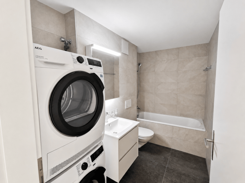 neu renovierte 1.5 Zimmerwohnung (8)