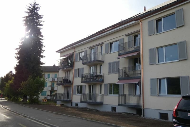 3.5 Zimmer, Moderne Wohnung im Erstbezug nach Totalrenovation (1)