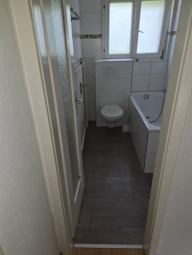 grosse 4 Zimmerwohnung (8)