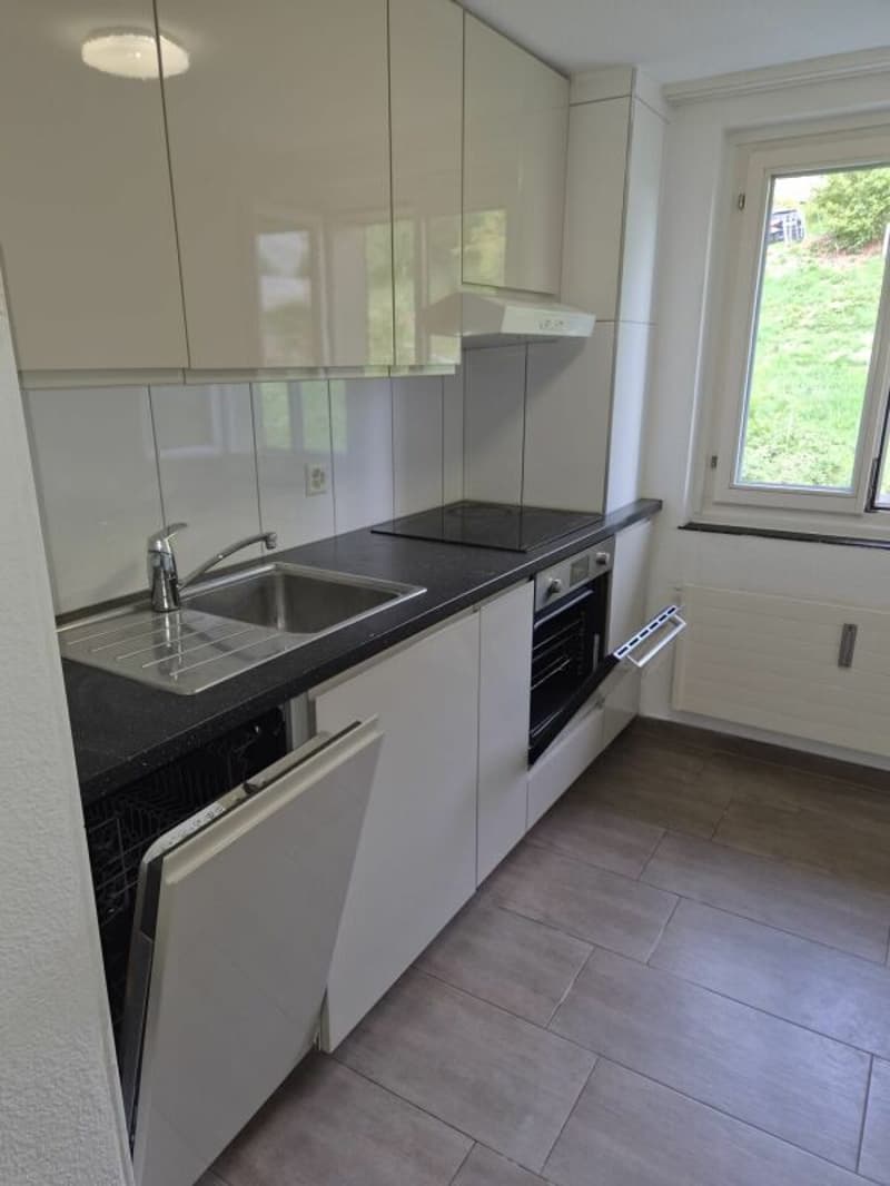 grosse 4 Zimmerwohnung (2)