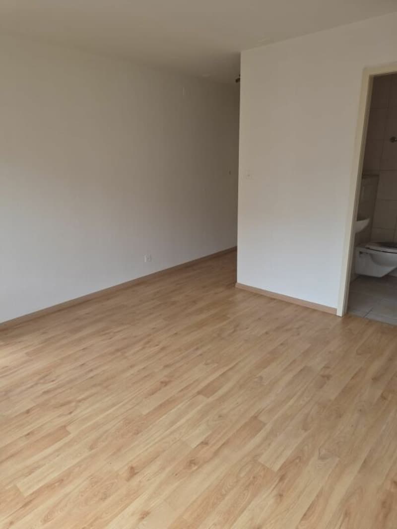 praktische 1 Zimmerwohnung (4)