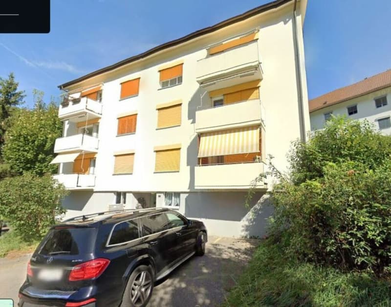 angenehme 3 Zimmerwohnung (1)