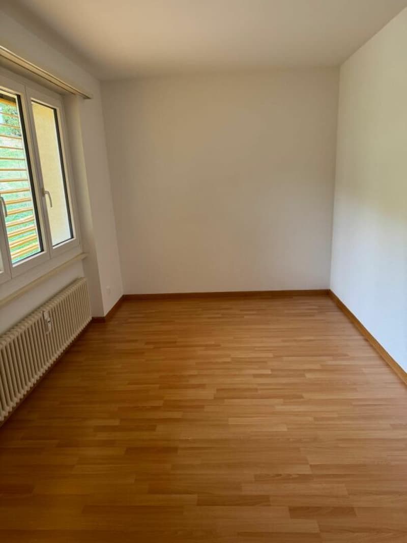 angenehme 3 Zimmerwohnung (7)