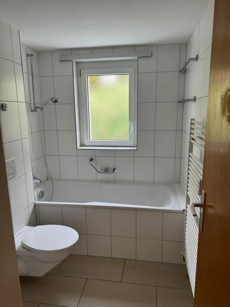 angenehme 3 Zimmerwohnung (11)