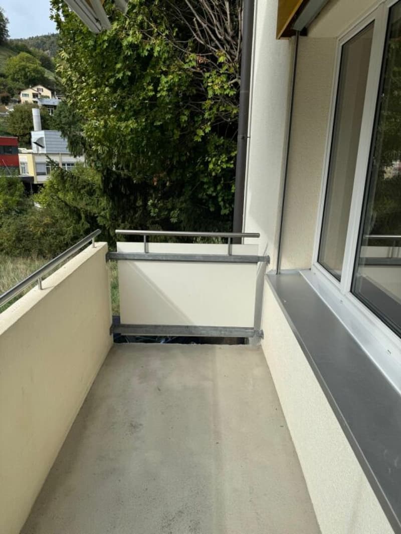 angenehme 3 Zimmerwohnung (12)