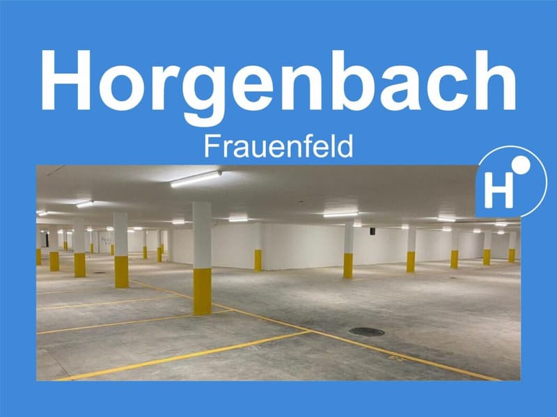 Grosszügiger Parkplatz in der Tiefgarage zu vermieten (1)
