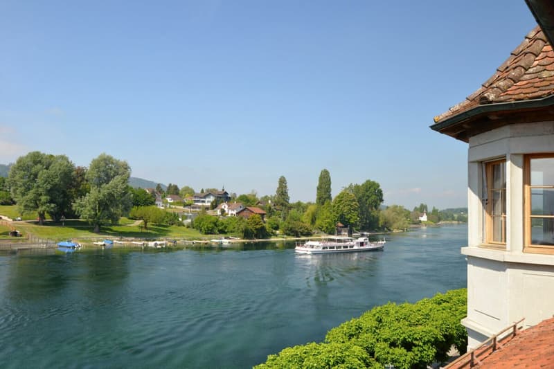 Exklusive Dachwohnung mit traumhaftem Rheinblick (1)