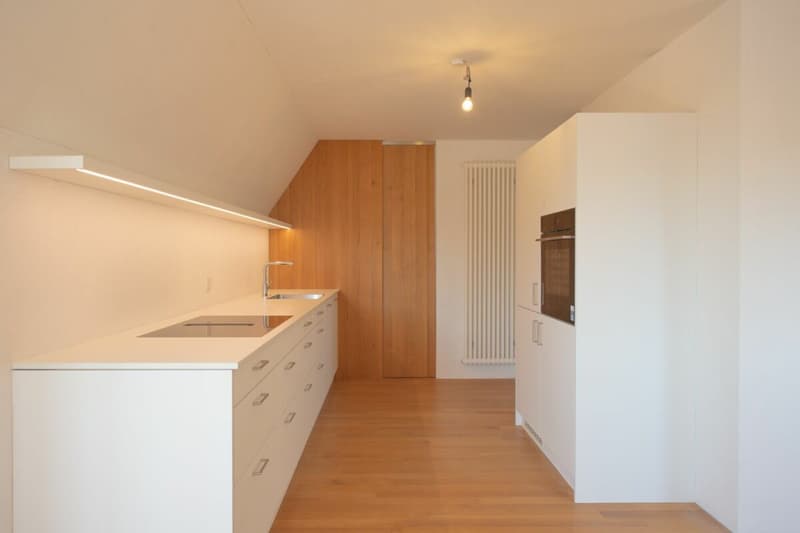 Exklusive Dachwohnung mit traumhaftem Rheinblick (5)