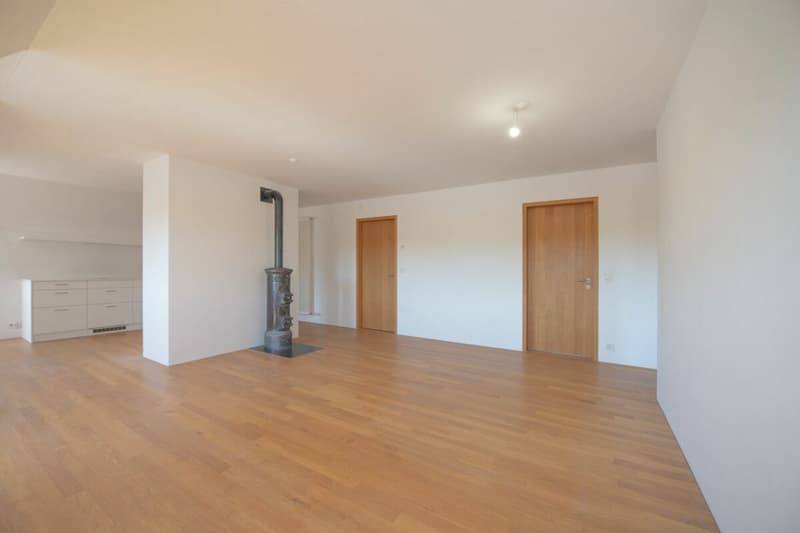 Exklusive Dachwohnung mit traumhaftem Rheinblick (3)