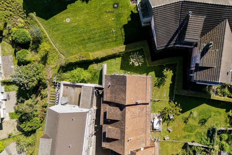 Schöner pflegeleichter grosser Garten.