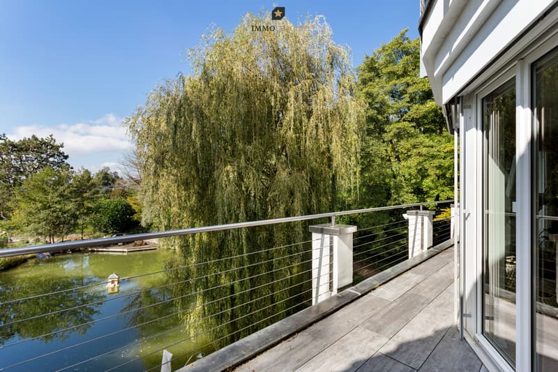 Seltene Gelegenheit: Villa mit Privatweiher an idyllischer Lage. (11)