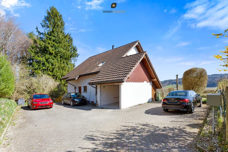 Eine Privatstrasse führt zum grosszügigen Vorplatz mit ausreichend Parkiermöglichkeiten / A private road leads to the spacious forecourt with ample parking facilities