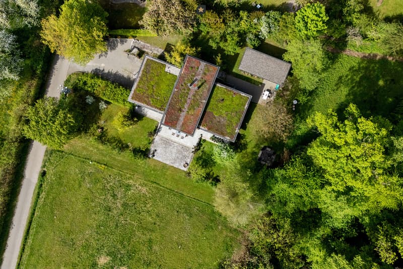 Ein Rückzugsort der Extraklasse: Die direkte Waldrandnähe und die exklusive Architektur machen dieses Anwesen zu einer seltenen Gelegenheit.