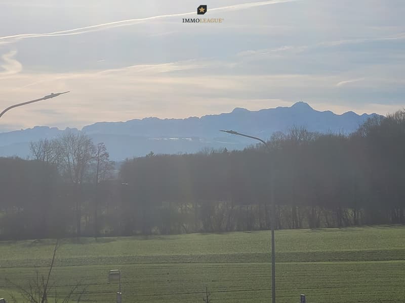 Blick auf den Säntis und das Alpstein.