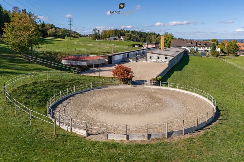 Der Round Pen (Ø ca. 24 m) liegt eingebettet in die Wiese, mit weitem Blick über das Hügelland: ein ruhiger Ort für die Arbeit mit den Pferden.