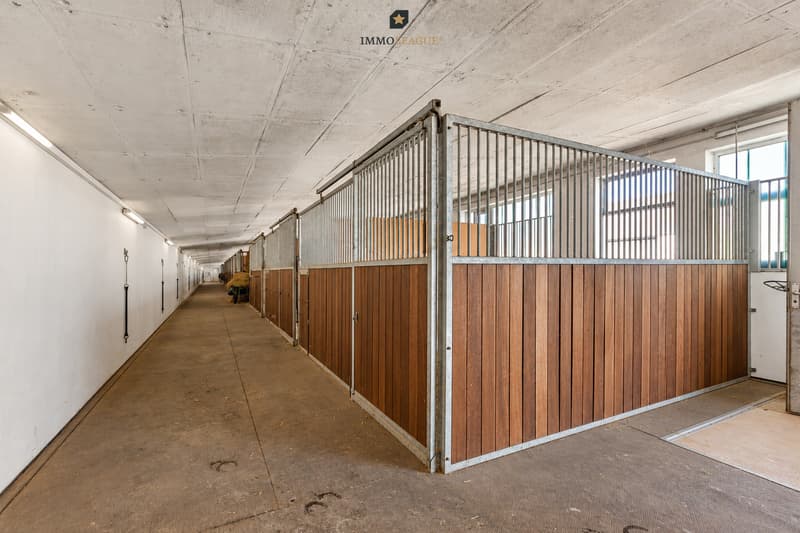 Solide Holz- und Metallbauweise, viel Tageslicht und ein geräumiger Stallgang: ein Stall, in dem sich gut arbeiten lässt.