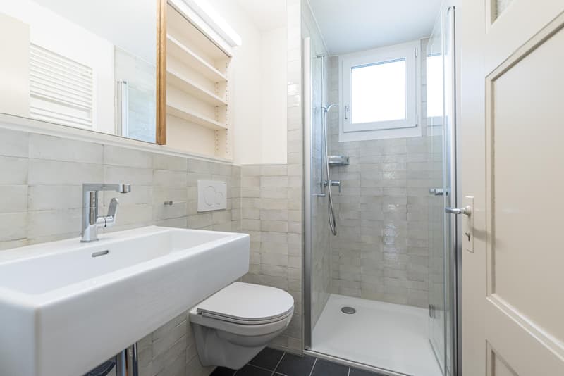 Gemütliche 3.5-Zimmerwohnung in Winterthur (5)
